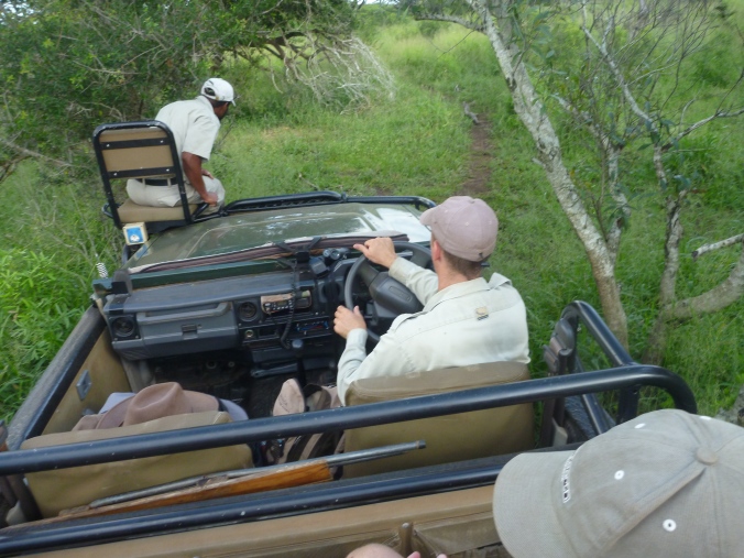 getting around on game drives with our driver/guide and spotter